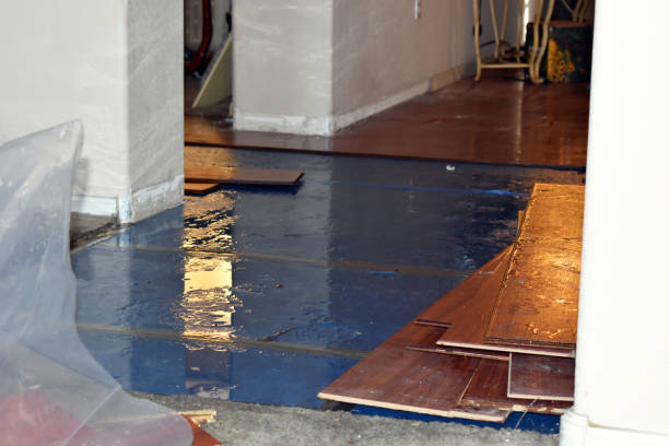 Professional Basement Flood Cleanup technician working in Winfield, WV
